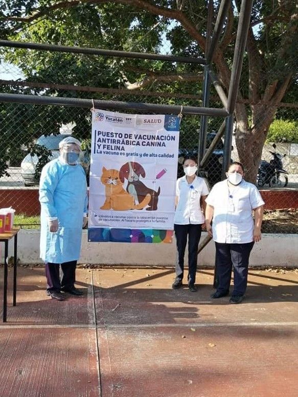 En San Francisco si son responsables con sus mascotas y los quieren