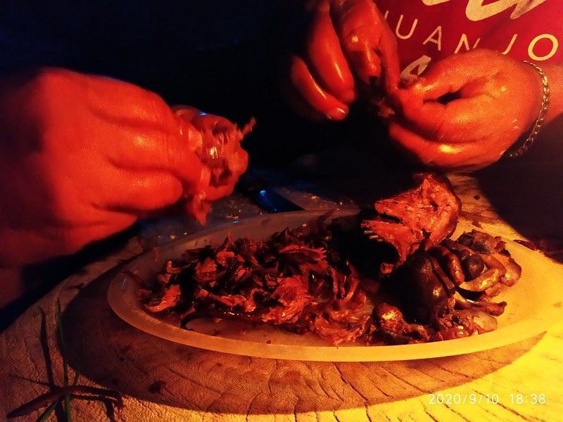 La tuza, de plaga a ingrediente básico de un rico manjar de los pueblos mayas