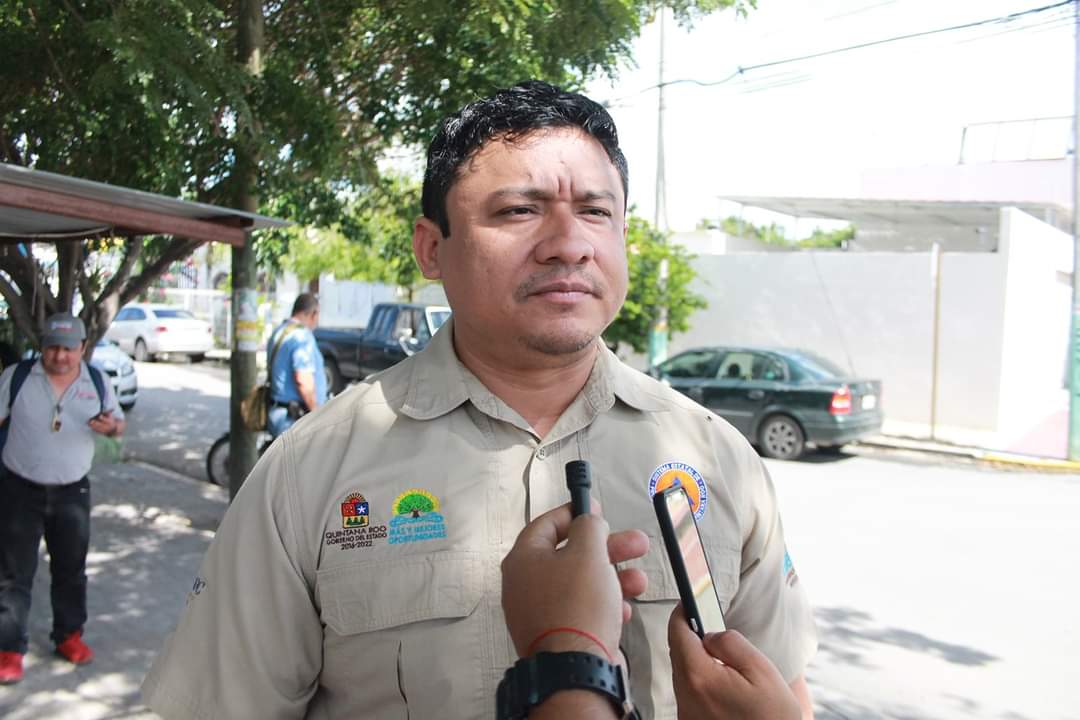 Activan alerta verde para municipios del sur de Quintana Roo