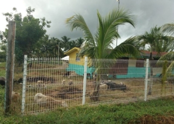 Usan escuela secundaria “Rufo Figueroa” como potrero