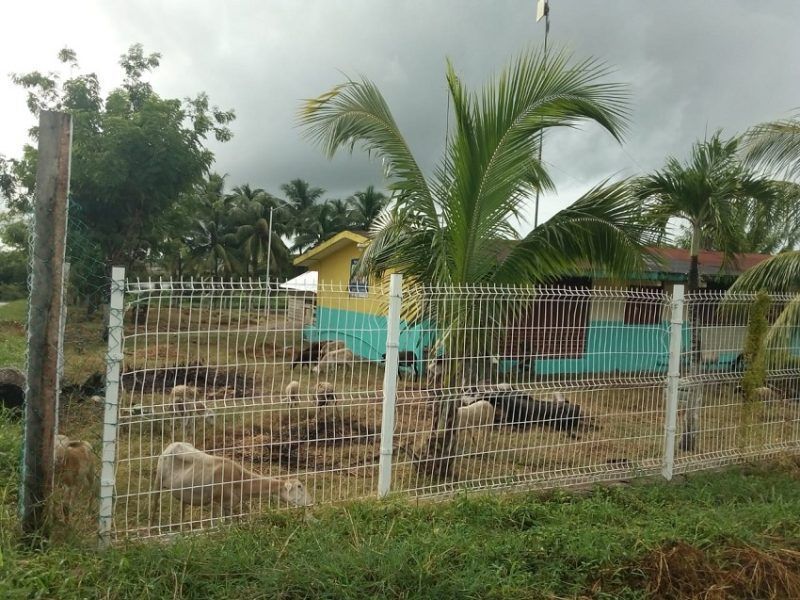 Usan escuela secundaria “Rufo Figueroa” como potrero