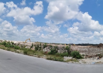 Desarrolladores inmobiliarios devastan 40 hectáreas de selva en playa del Carmen