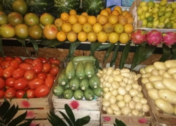 Huertos orgánicos para restaurantes en Cancún