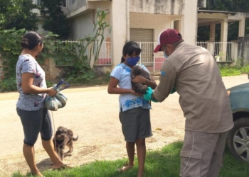 Inicia Jornada de Vacunación Antirrábica Canina y Felina 2020