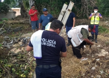 Rescatan canino atrapado dentro un sumidero