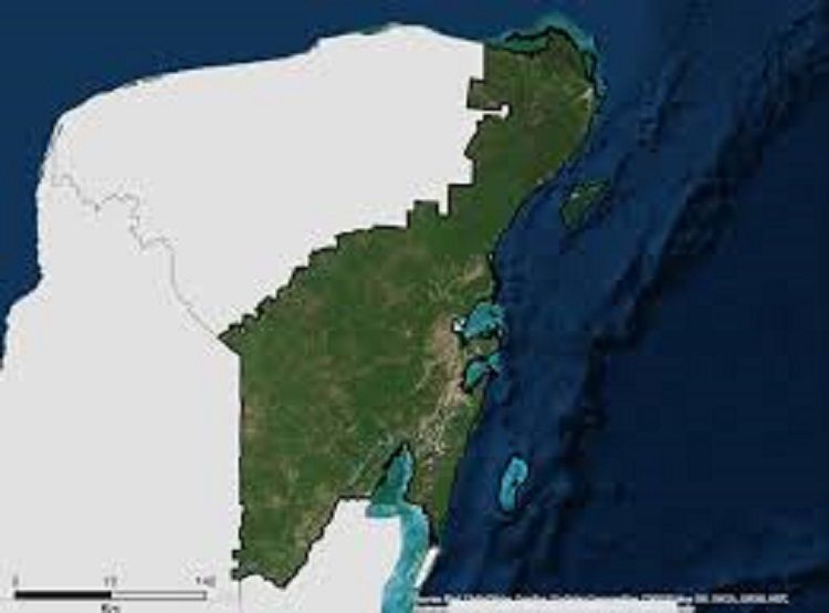 Armada de México: por imágenes satelitales ha localizado pistas clandestinas en Quintana Roo