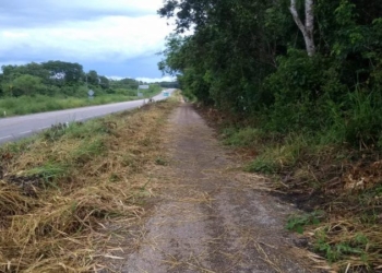 Inician chapeo y limpieza de la ciclovía