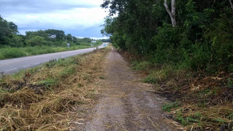 Inician chapeo y limpieza de la ciclovía