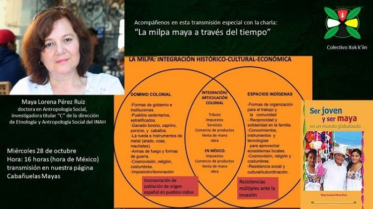 Los aportes de la milpa ante crisis climática y de salud pública 