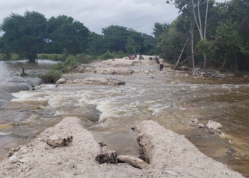 Se restaura tramo carretero Río Verde – Miguel Alemán