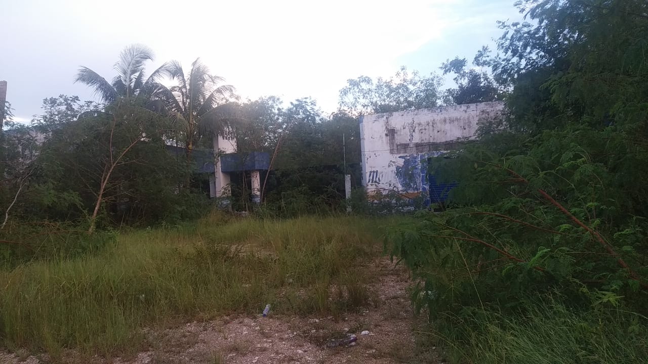 En el abandono, peligro latente