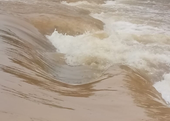 Incomunicado Miguel Alemán Y Río Verde