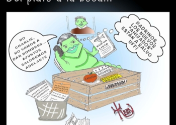 Kisin: del plato a la boca