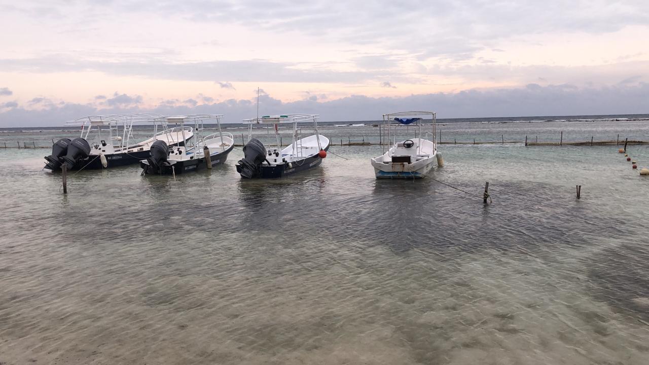 Sin afectaciones mayores en Othón P. Blanco por los efectos del huracán Delta