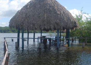 Laguna Chichankanab incrementó de nivel sin riesgo para la población