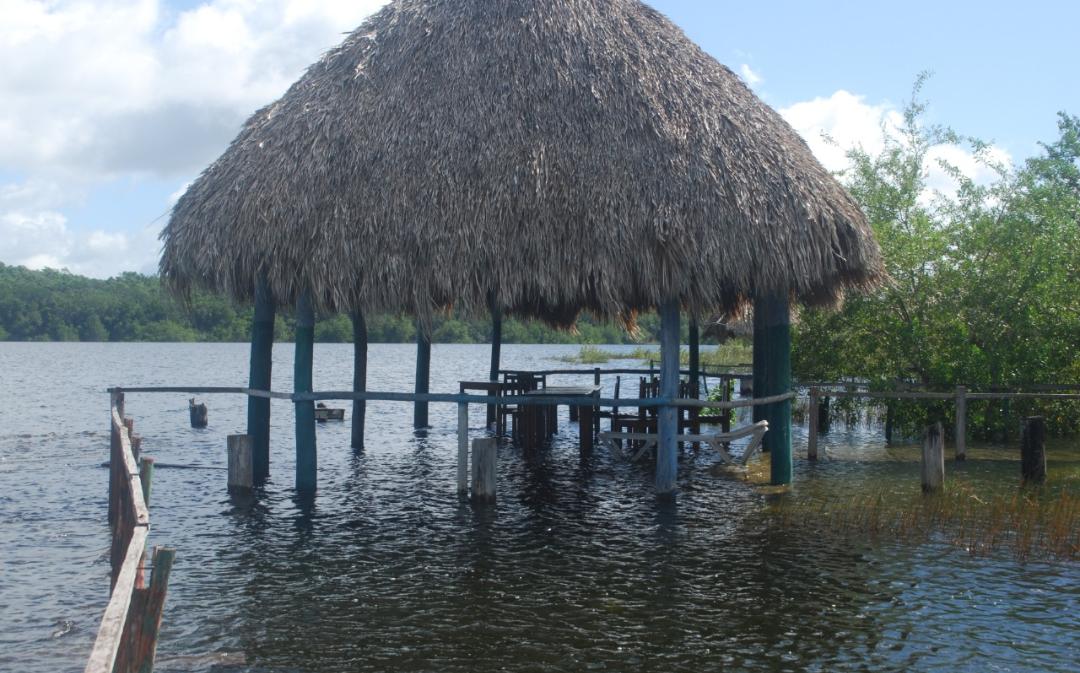 Laguna Chichankanab incrementó de nivel sin riesgo para la población