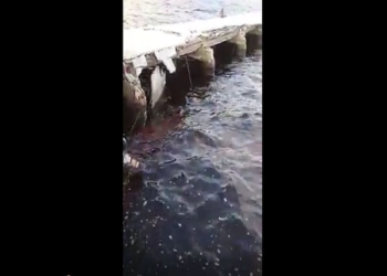 Abandona Api infraestructura en la Costa Maya