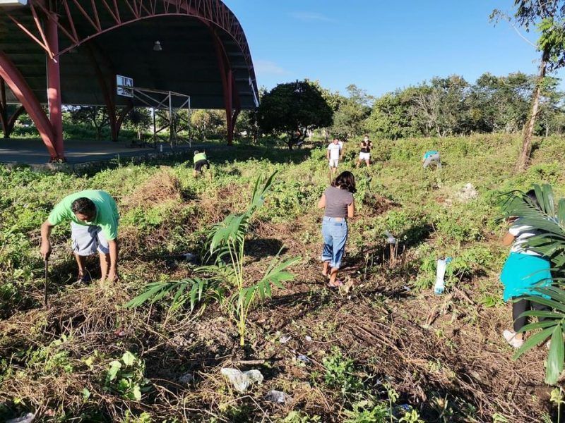 Ciudadanos realizan la primera jornada de reforestación