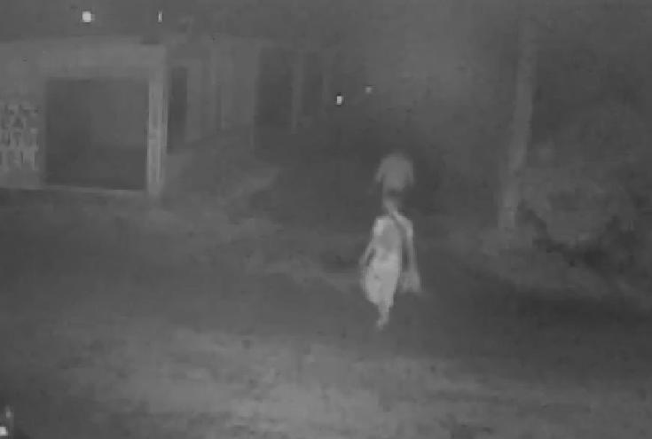 Ladrones se llevan dos motocicletas de taller mecánico