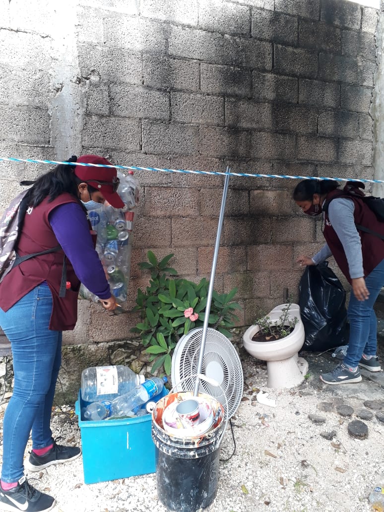 Además del Covid, en Valladolid también están combatiendo al mosco del dengue, zika y chikungunya