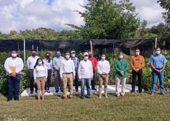 Iniciativa privada y ciudadanos reforestarán zonas devastadas por la agricultura en el #Sur de #QuintanaRoo