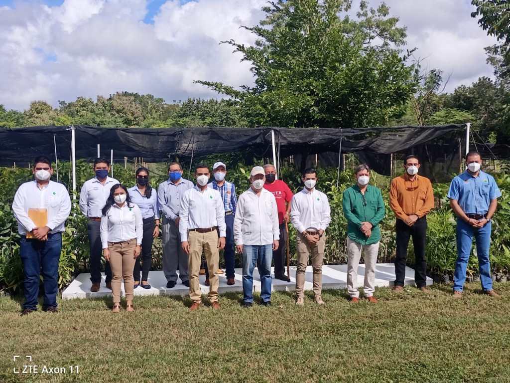 Iniciativa privada y ciudadanos reforestarán zonas devastadas por la agricultura en el #Sur de #QuintanaRoo