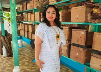 Mujeres que empiezan a incursionar en la meliponicultura