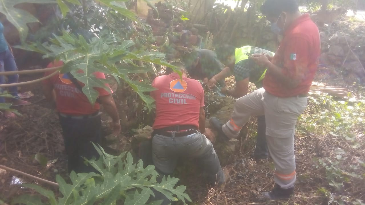 Protección Civil municipal de Felipe Carrillo Puerto restaca a firulais