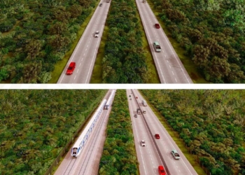Construcción de Tren Maya garantizará el respeto al medio ambiente: Laura Beristain