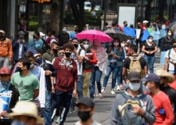 Necesaria vacuna contra la necedad