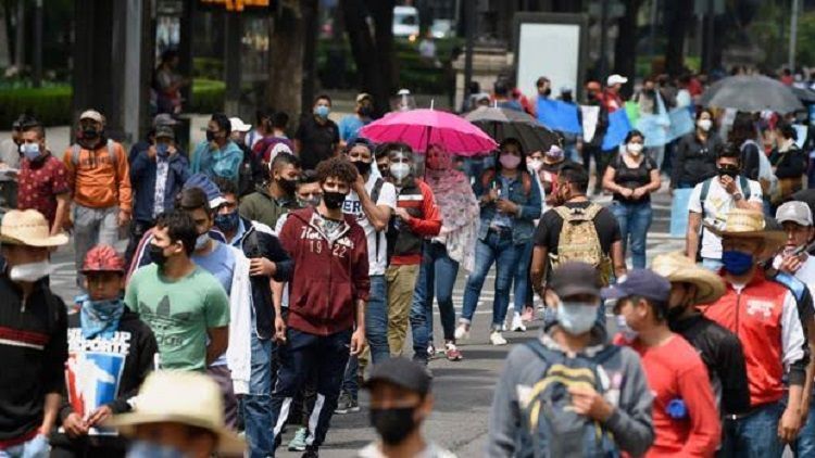 Necesaria vacuna contra la necedad