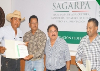 Ganaderos piden cuentas al Comité de Fomento y Protección Pecuaria
