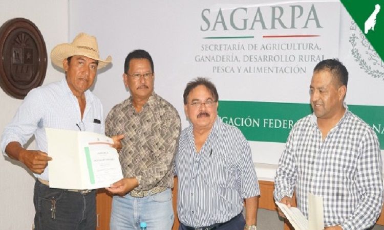 Ganaderos piden cuentas al Comité de Fomento y Protección Pecuaria