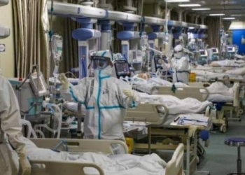 Paraíso convertido en infierno con casi 260 hospitalizados por Covid