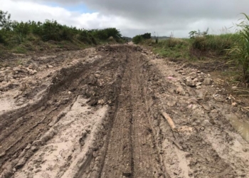 En pésimo estado caminos sacacosecha en la ribera del río Hondo