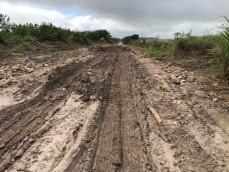 En pésimo estado caminos sacacosecha en la ribera del río Hondo