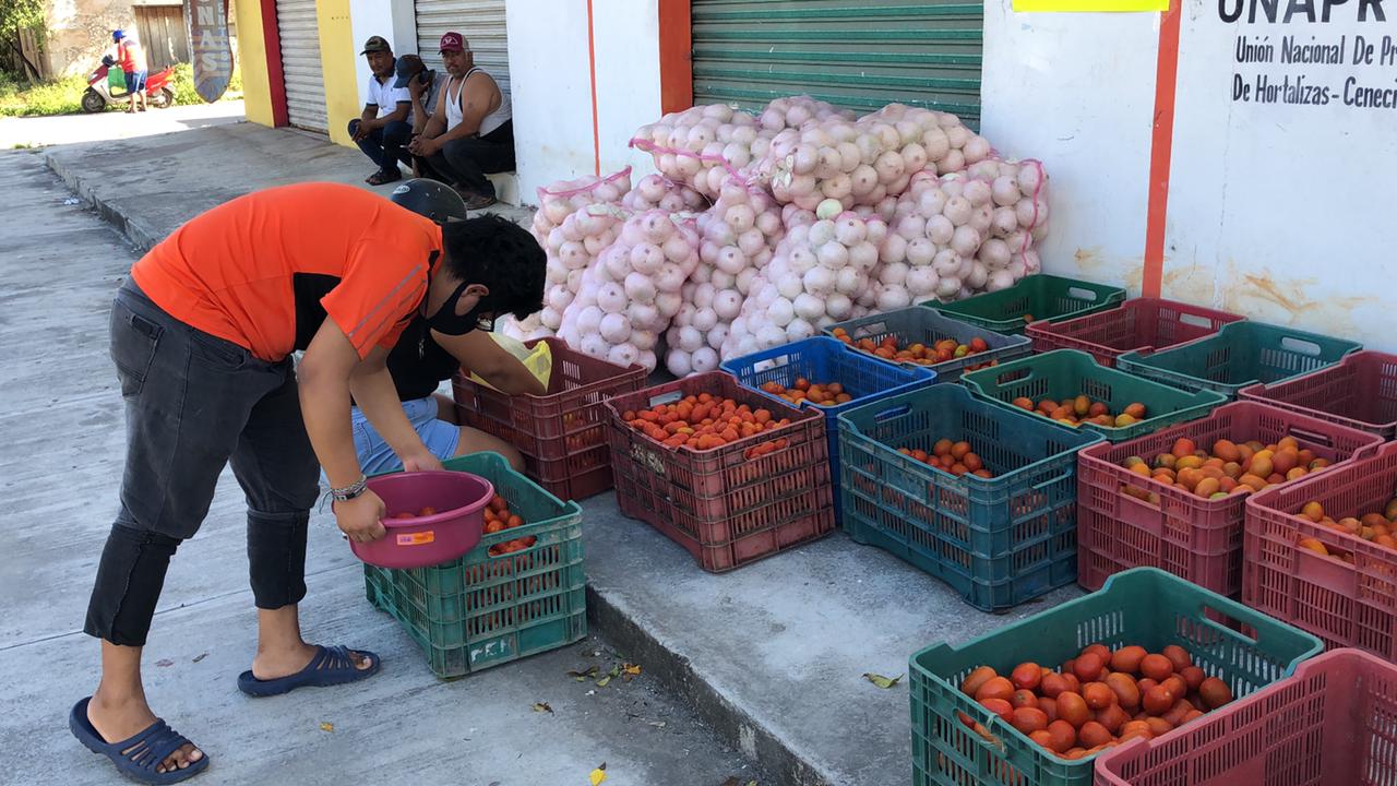 Subsidia Paoly Perera Maldonado subsidio 20 toneladas de tomate y cebolla a bajo costo