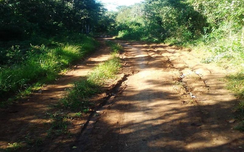 Productores de la zona de mecanizado del ejido de Sabana San Francisco solicitan apoyo