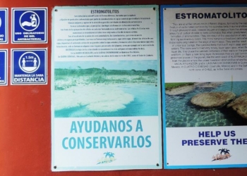 ¡Las riquezas del paraíso