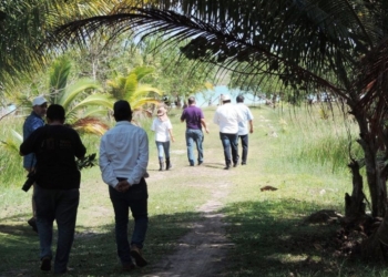 ¡Encarrilan al Tren Maya!