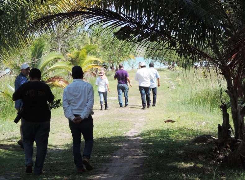 ¡Encarrilan al Tren Maya!