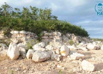 FGE ejerce por primera vez, acción penal por robo, despojo y delito en materia ambiental