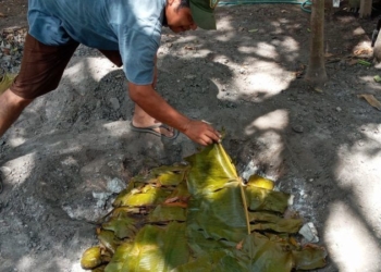 Cronista cardenense precisa real significado del ancestral término gastronómico maya «pib»