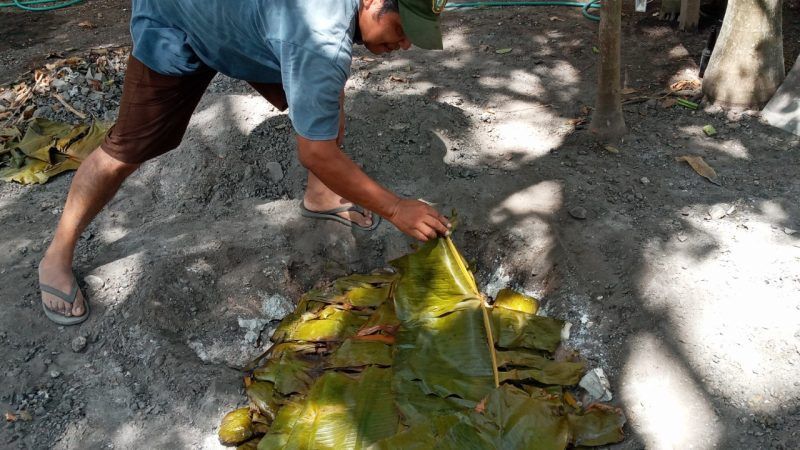 Cronista cardenense precisa real significado del ancestral término gastronómico maya «pib»