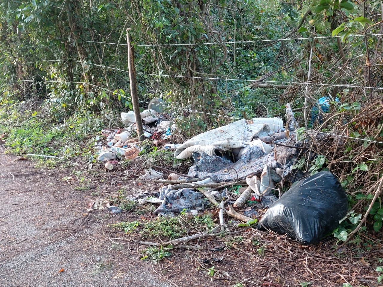 Sin el menor remordimiento que le causan al medio ambiente y a las personas que las utilizan