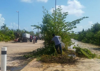 Incumplen orden de un juez al tener en el abandono al Malecón Tajamar