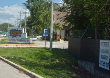 Ambientalistas inician “rescate” de animales de Crococun, que esta tarde fue “liberado”