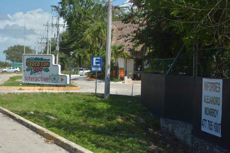 Ambientalistas inician “rescate” de animales de Crococun, que esta tarde fue “liberado”