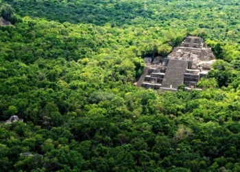 Calakmul, uno de los destinos más buscados por el turismo de arqueología y naturaleza