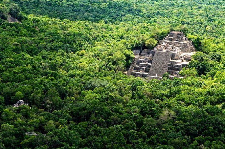 Calakmul, uno de los destinos más buscados por el turismo de arqueología y naturaleza